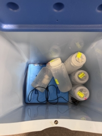  Ūdens paraugu līdz atvešanai uz laboratoriju glabā aukstuma somā