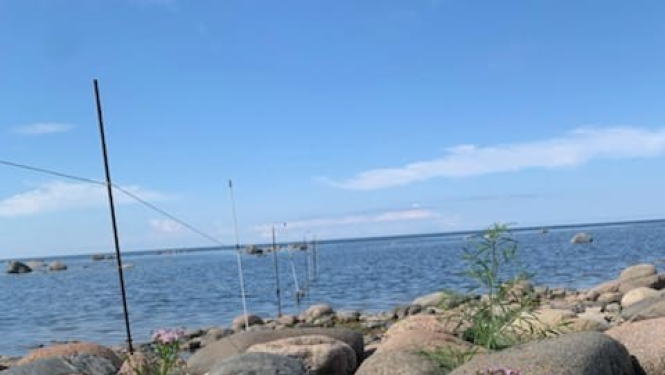 Jūra un akmeņi
