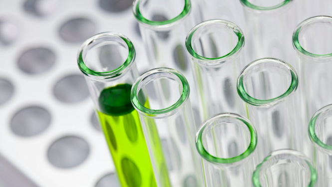 Invitro attēls