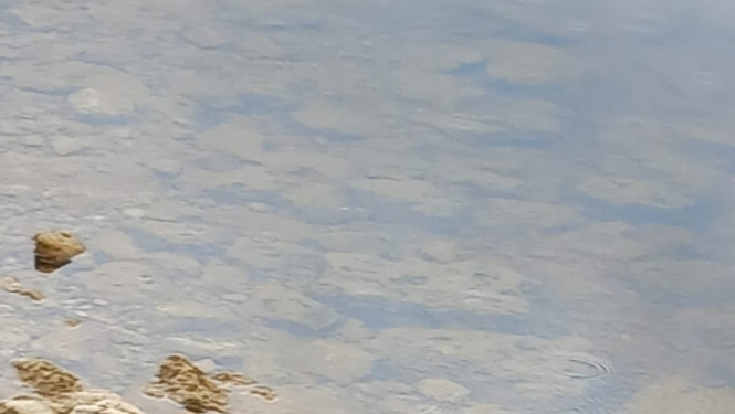 lubanas_ezers_rezeknes_pasvaldiba_preses_foto1_17062024.jpg