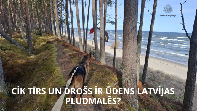 Klapkalnciema pludmale