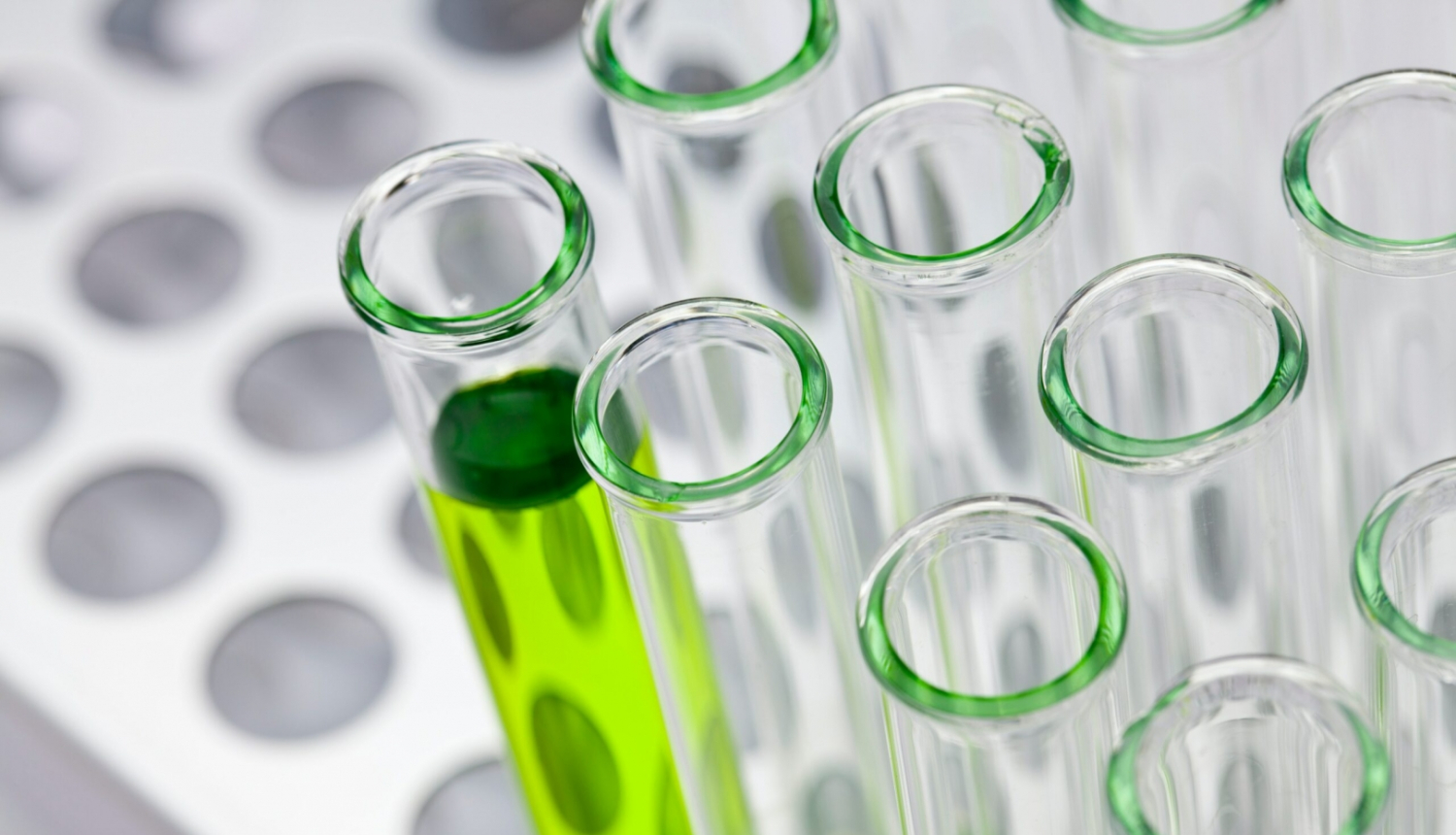 Invitro attēls