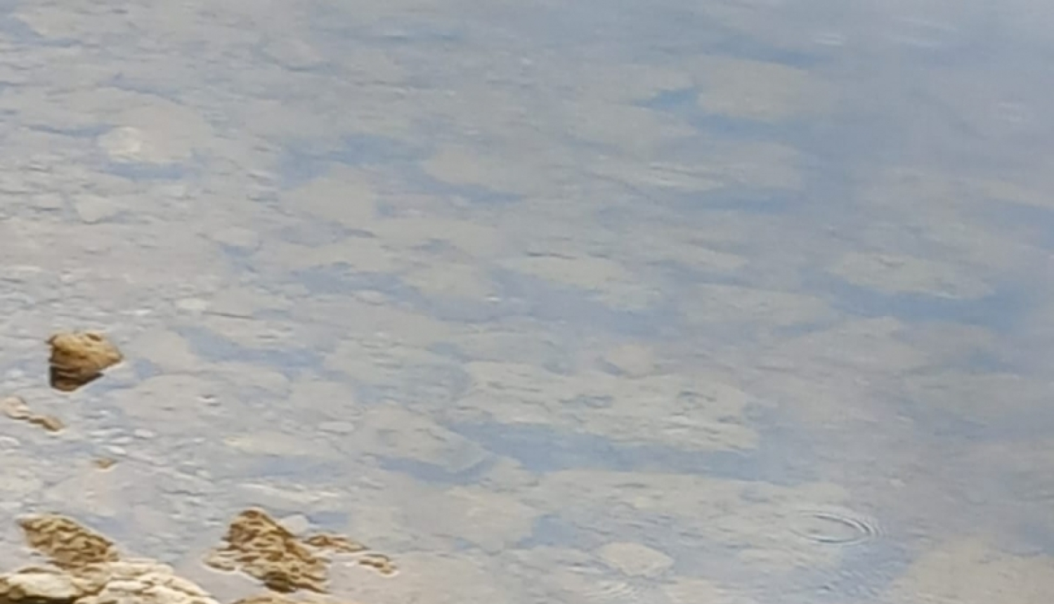 lubanas_ezers_rezeknes_pasvaldiba_preses_foto1_17062024.jpg