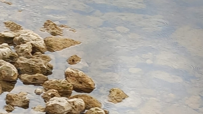 lubanas_ezers_rezeknes_pasvaldiba_preses_foto1_17062024.jpg