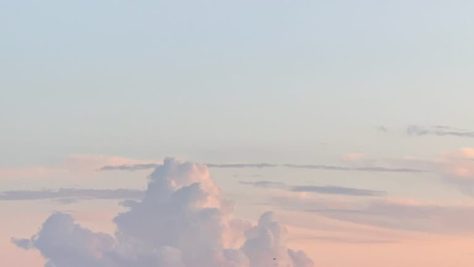 Skats un jūru. Pludmales akmeņi