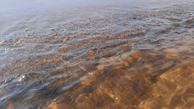 Daugavas krastmalas smiltis