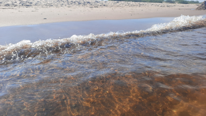 Peldvietu ūdens kvalitātes pārbaude oficiālajās peldvietās