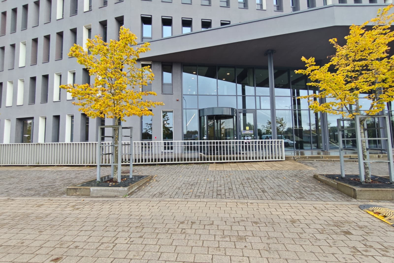 Pelēka ēka, kurai priekšā divi koki