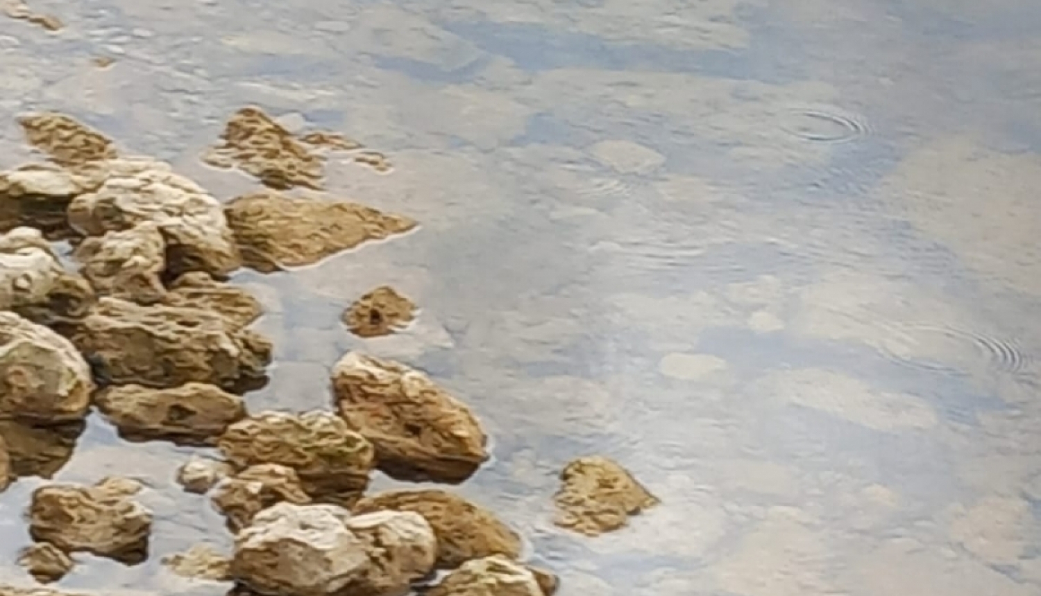 lubanas_ezers_rezeknes_pasvaldiba_preses_foto1_17062024.jpg